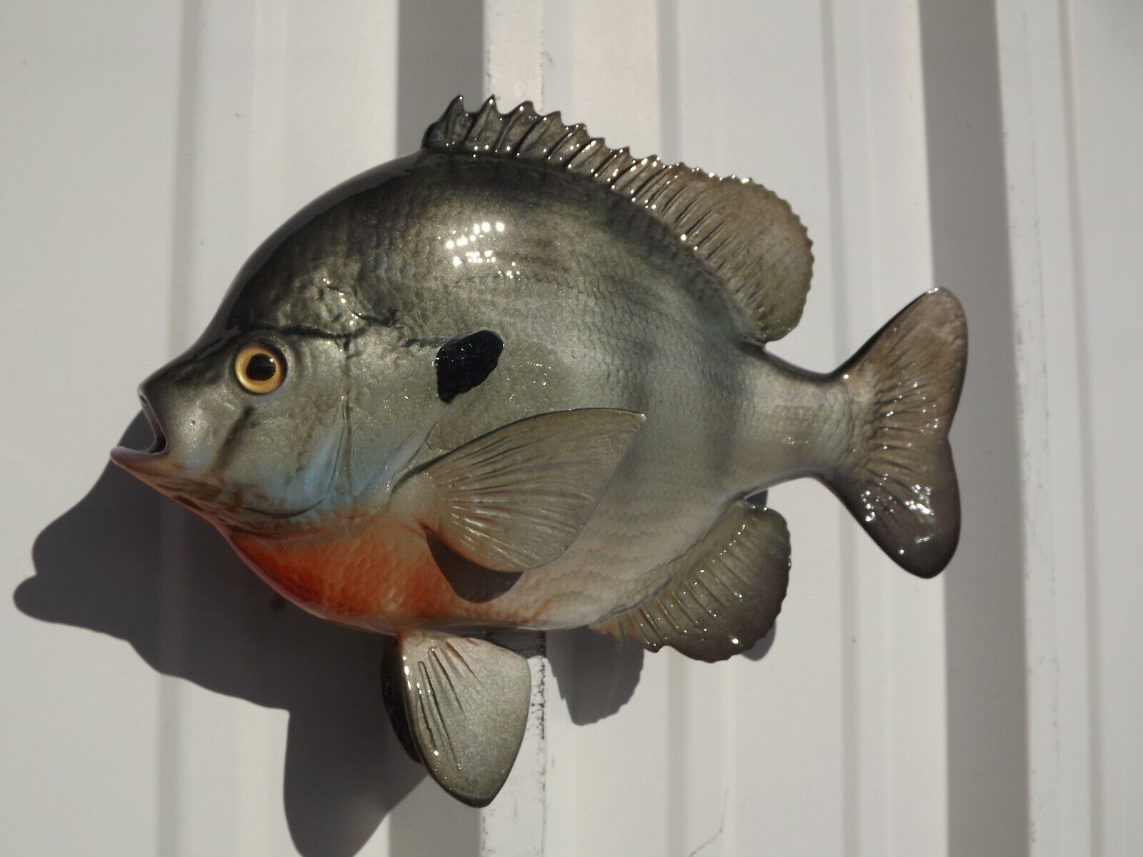 12" Bluegill Two Sided Fish Mount Replica - 3 Week Production Time