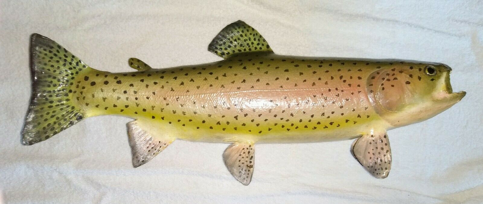 Vintage Taxidermy Wall Mounted Beautiful Large Trout Fish