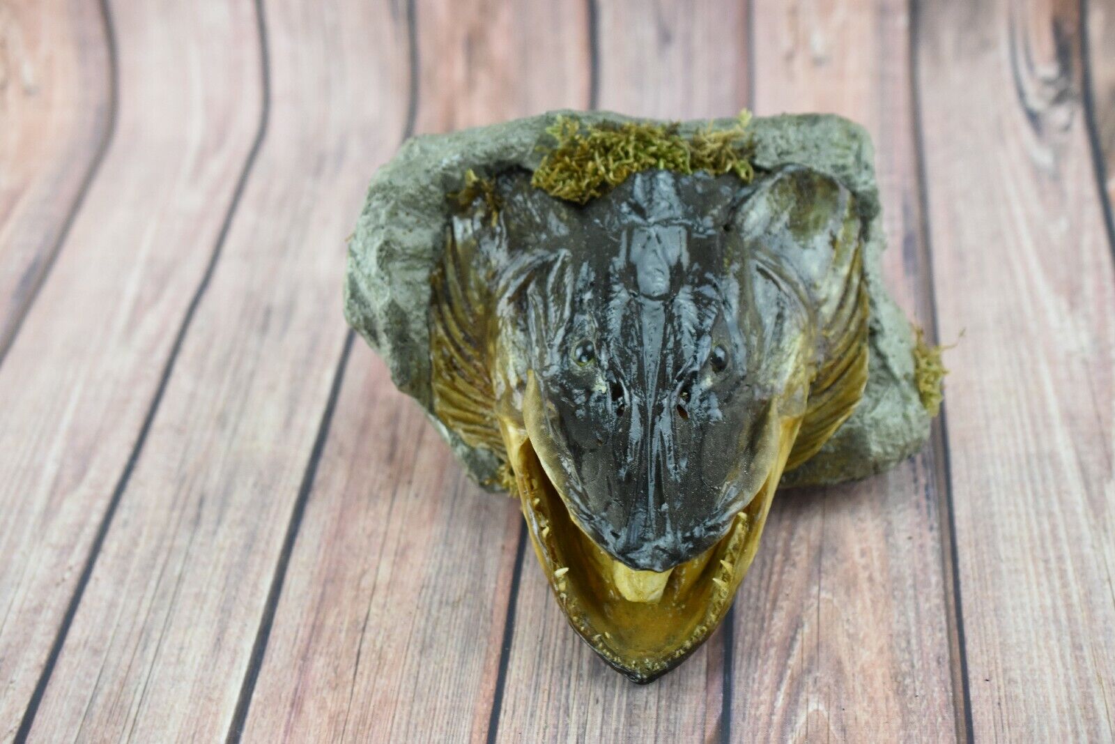Mounted Large Pike Head Fish Skull Wall Mount Premium Taxidermy