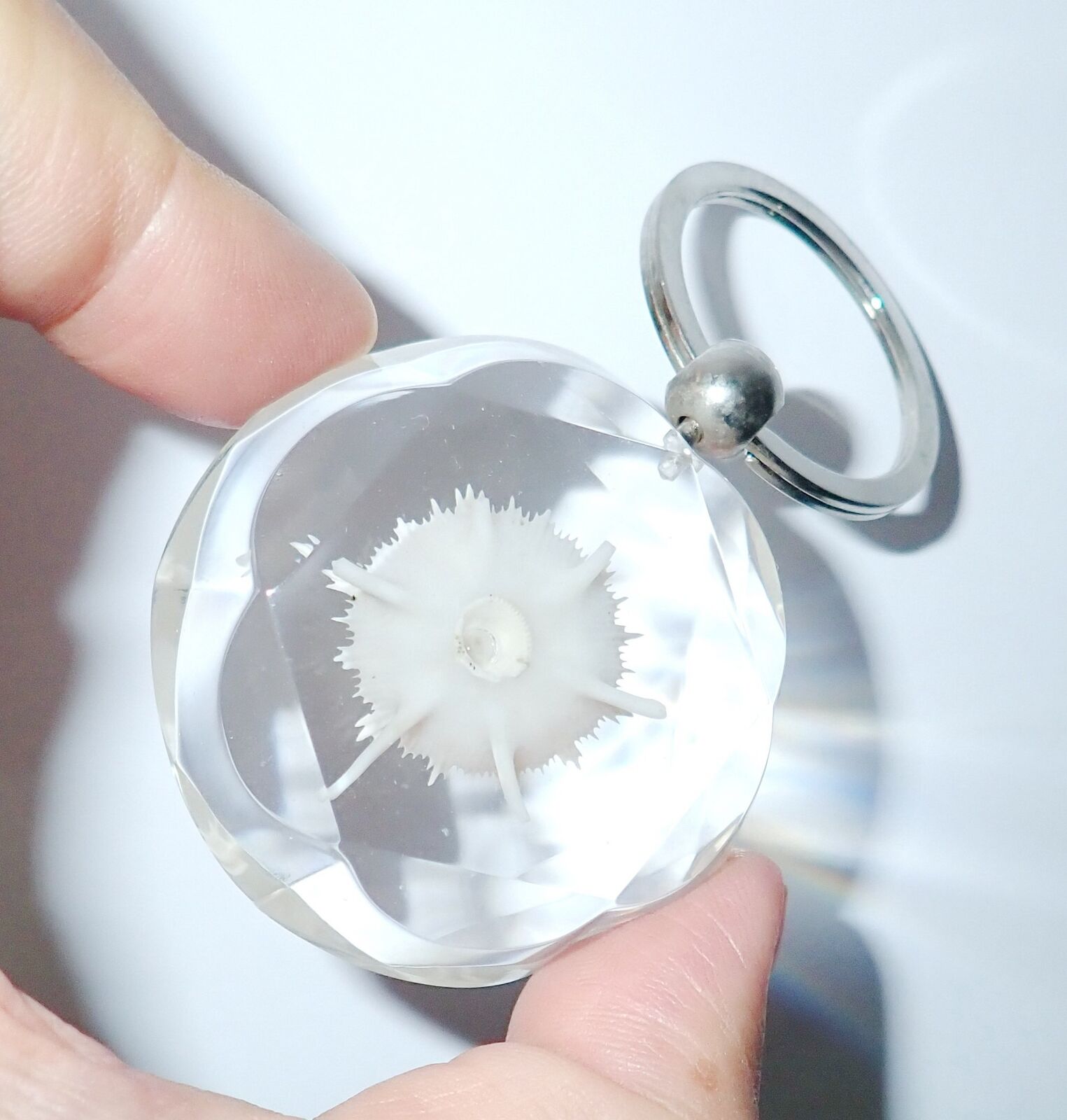 Large Resin Key Ring Thorn Circular Seashell Shredded Diamond Effect Clear Dk10