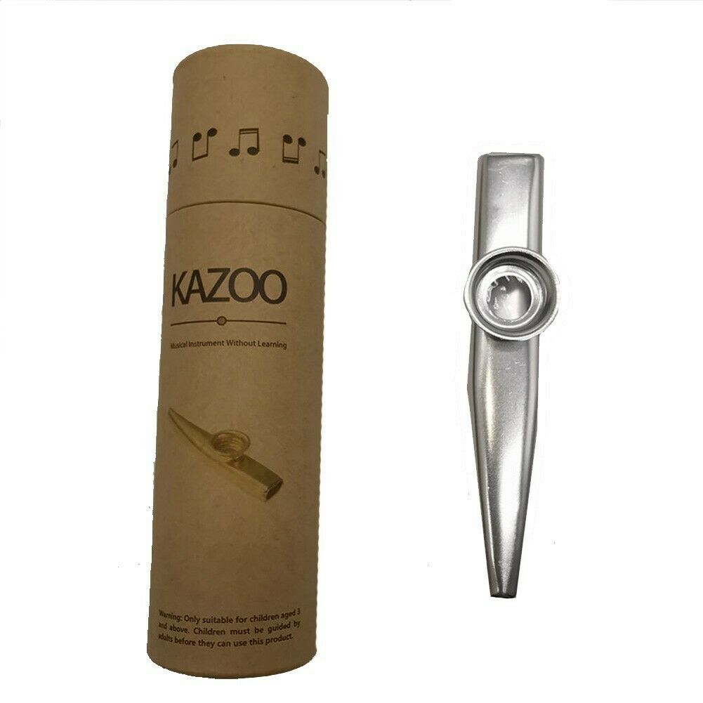 Beginner Flute Instrument Metal Kazoo Woodwind Musical Instruments Toy Gift Box